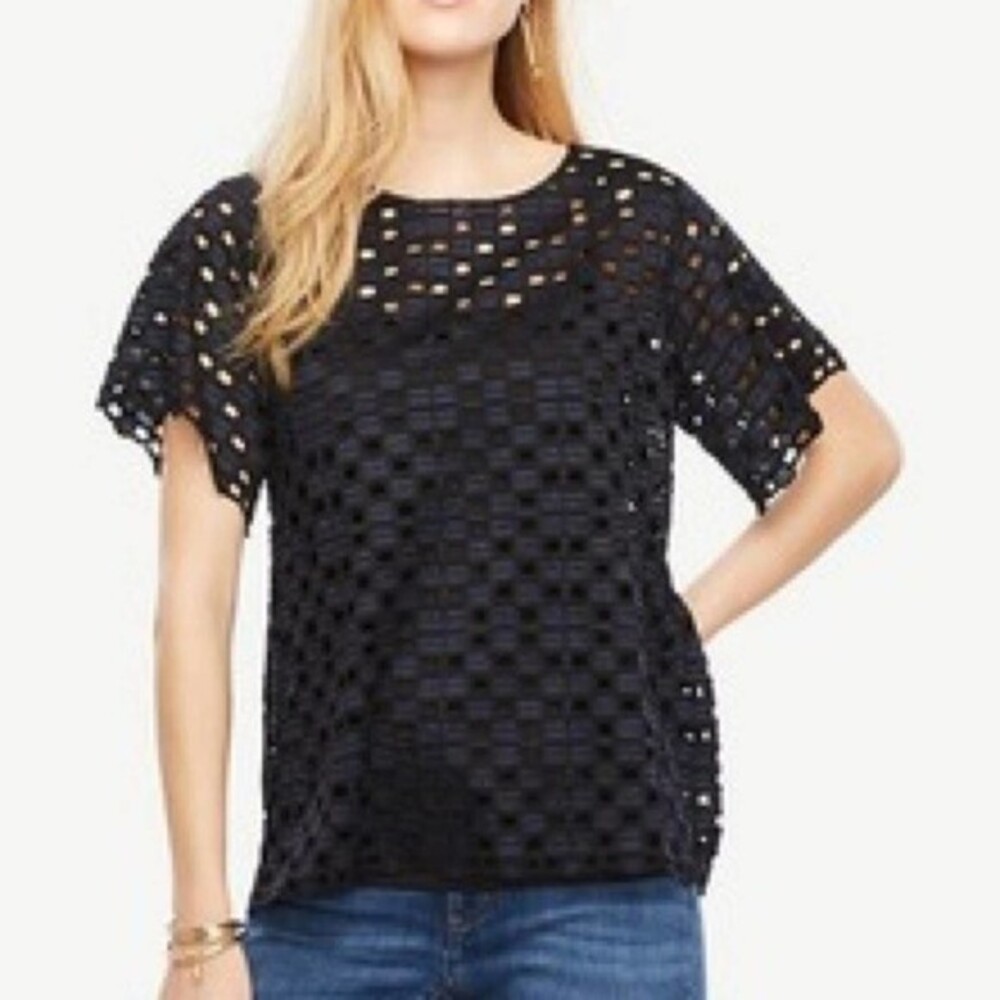 Ann Taylor Jacquard Lace Blue & Black Peplum NWT Size Small